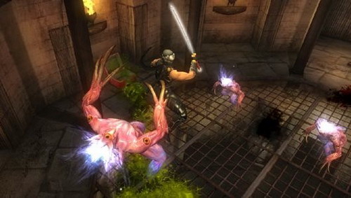 Ninja Gaiden Sigma выйдет на PS Vita в феврале Ninja Gaiden Sigma выйдет на PS Vita в феврале